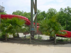 Big Kahuna