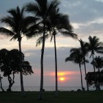 Tropical Sunset