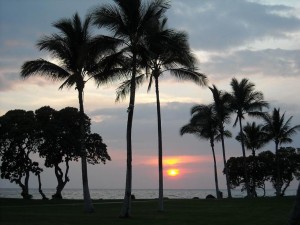 Tropical Sunset